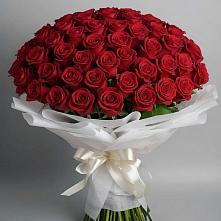 Букет 101 Красная роза Блэк Мэджик в Константиновском