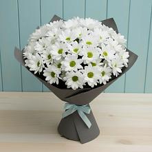 Букет цветов из:  Хризантемы #REPLACE_PRED# Константиновском