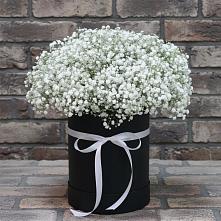 Цветочная композиция из Гипсофила в шляпной коробке в Константиновском