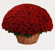 Премиум букет из: Розы в Константиновском